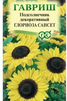 Подсолнечник декоративный Глориоза Сансет