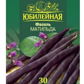 Фасоль спаржевая Матильда