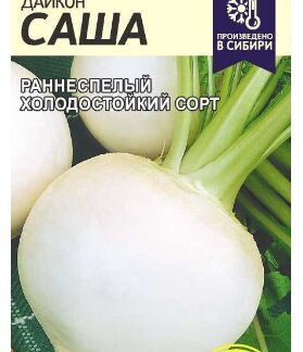 ДАЙКОН САША