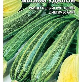 Кабачок Малой-удалой