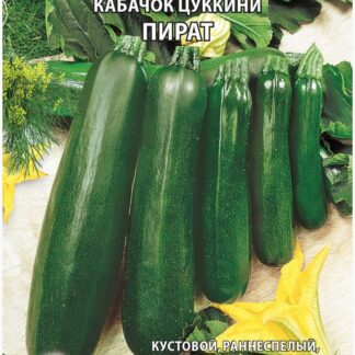 Кабачок цуккини Пират
