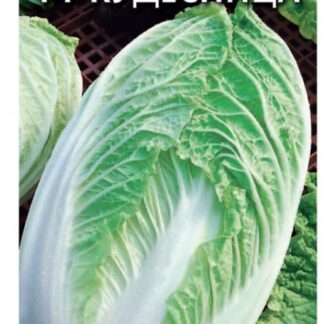 Капуста пекинская Кудесница