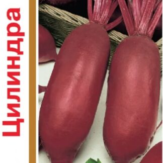 Свекла Цилиндра