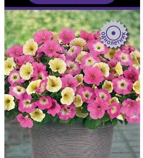 Петуния ампельная ЕЗ Изи Вейв Свит Таффи Микс