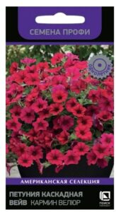 Петуния каскадная Вейв Кармин Велюр