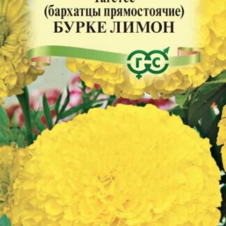 Бархатцы прямостоячие (тагетес) Бурке Лимон