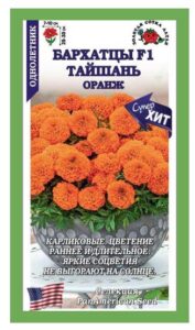 Бархатцы Тайшань Оранж прямостоячие