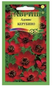 Адонис Керубино