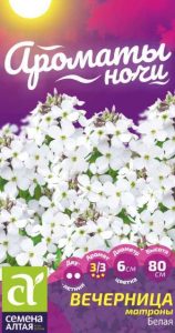 ВЕЧЕРНИЦА МАТРОНЫ БЕЛАЯ