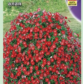 Петуния Джоконда F1 алая