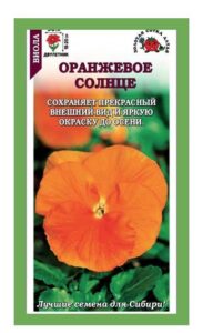 Виола Оранжевое солнце