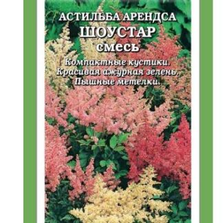 Астильба Арендса Шоустар