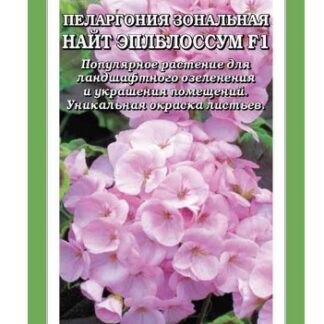 Пеларгония Найт Эплблоссум