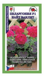 Пеларгония Найт F1 Ваилит