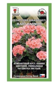 Пеларгония Найт F1 Салмон