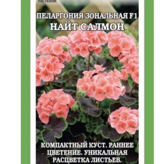 Пеларгония Найт F1 Салмон