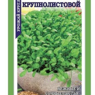 Кресс-салат Крупнолистовой