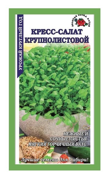 Кресс-салат Крупнолистовой