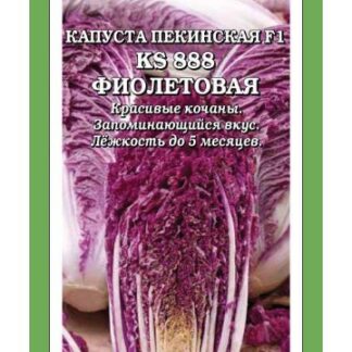 Капуста пекинская KS 888 Фиолетовая