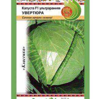 Капуста белокочанная Увертюра F1