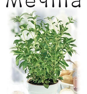 Стевия Мечта