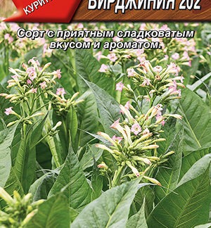 Табак Вирджиния