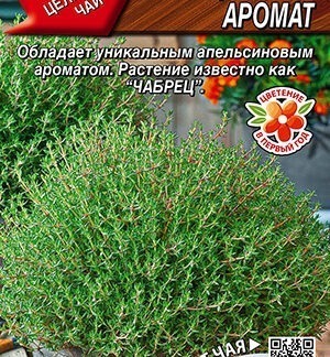 Тимьян Французский аромат