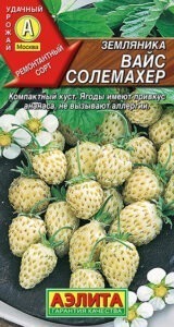 Земляника Вайс Солемахер (белая)
