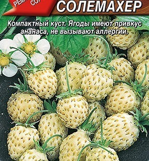 Земляника Вайс Солемахер (белая)