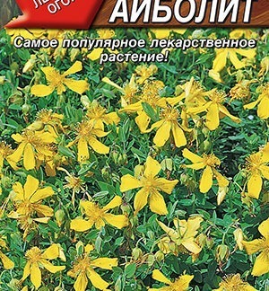 Зверобой Айболит