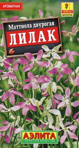 Маттиола двурогая Лилак