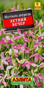 Маттиола Летний вечер