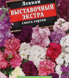 Левкой выставочный Экстра, смесь