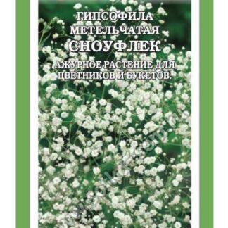 Гипсофила Сноуфлек