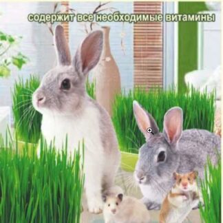 Зеленые Витамины для Грызунов