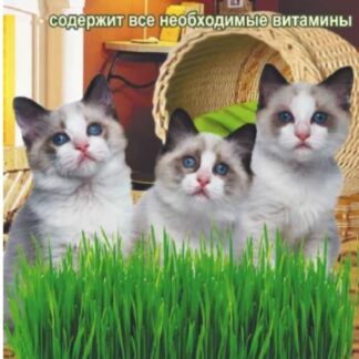 Зеленые Витамины для любимых Кошек