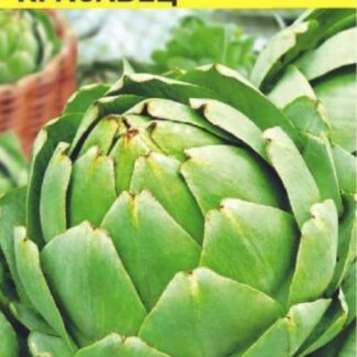 Зелень Артишок Красавец