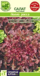 Зелень Салат Лолло Росса