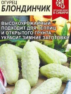 Огурец Блондинчик