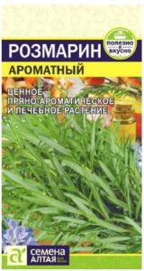 Зелень Розмарин Ароматный