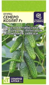 Огурец Семеро Козлят F1