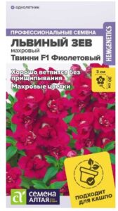 Цветы Львиный зев Твинни F1 Фиолетовый Махровый