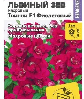 Цветы Львиный зев Твинни F1 Фиолетовый Махровый