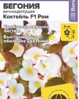 Цветы Бегония Коктейль F1 Ром вечноцветущая