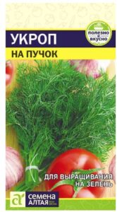 Зелень Укроп На Пучок