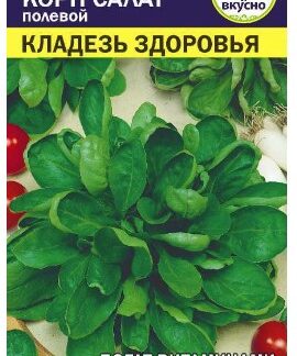 Зелень Корн Салат Кладезь Здоровья