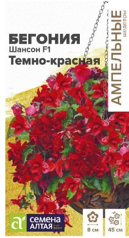 Цветы Бегония Шансон F1 Темно-красная ампельная
