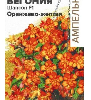 Цветы Бегония Шансон F1 Оранжево-желтая ампельная клубневая