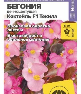 Цветы Бегония Коктейль F1 Текила вечноцветущая