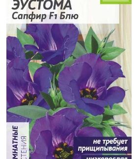 Цветы Эустома Сапфир F1 Блю